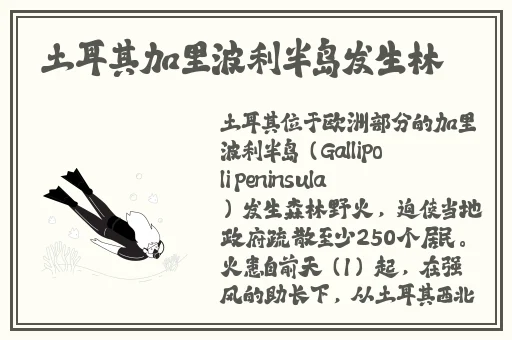 忘忧草一卡二卡三卡